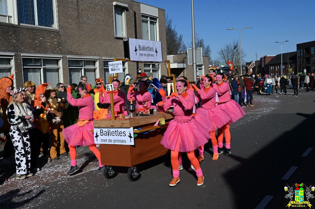 ../Images/Grote optocht 2026 042.jpg